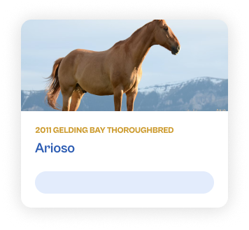 Horse info card